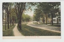 Stockbridge MA~Main St.~1908 Postcard picture