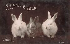 Real Photo Postcard Three Bunnies Rotograph Postmark 1907   P3 picture