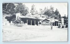 Green Mountain Falls Colorado tall Pine Trees Rustic Cottages Resort Postcard C7 picture
