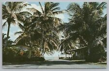 Hotel & Resort~Pines & Palms Resort~Islamorada Florida~Vintage Postcard picture