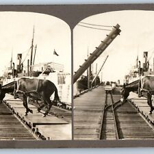 c1900s Steam Ship Dock Railway Horse Harbor Port Pier Real Photo Stereo Card V17 picture