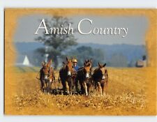 Postcard Horse Amish Country Pennsylvania USA picture