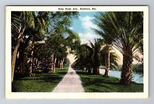 Daytona FL-Florida, Tropical Date Palm Avenue Vintage Souvenir Postcard picture