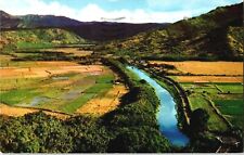 Postcard Hanalei Valley Island Rice Patties Honolulu Hawaii A66 picture