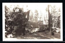 RPPC -  THE AUTO LOG - SEQUOIA NP CALIFORNIA - UNPOSTED - DOPS PROCESSING picture