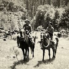 Vintage Snapshot Photograph Handsome Rugged Cowboys On Horses Wild West picture