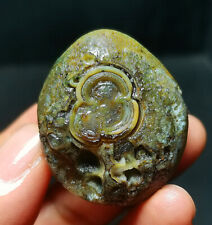 Rare 33.5G 100% China Natural Inner Mongolia Gobi Eyes Agate stone Healing R192 picture