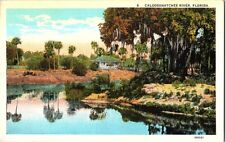 Caloosahatchee River Florida Vintage Postcard Standard View Card picture