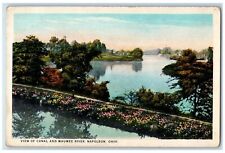 c1930's View Canal And Maumee River Napoleon Ohio OH Unposted Vintage Postcard picture