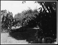 Mrs. Michael Connells Home Showing Views Of The Yards 1900 California Old Photo picture