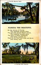 Florida The Beautiful, A Florida Golf Course, Florida, Vintage Postcard picture