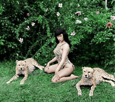 Bettie Page 8x10  Photo picture