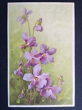 cpa Meissner & book WATERCOLOR DRAWING signed Catharina KLEIN Flowers Purple picture