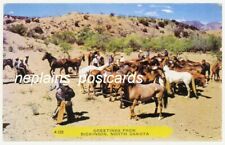 North Dakota - Greetings from Dickinson, Wild Horses 1950s  (A152 Noble) picture