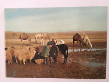 Judean Desert Near The Well In The Desert Vintage Postcard picture