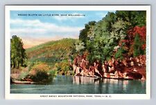 Smoky Mountain National Park, Little River Series #10 Vintage Souvenir Postcard picture