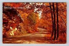 Coldwater MI-Michigan Greetings Fall Time on the Road c1970 Vintage Postcard picture