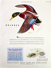 Pennsylvania Grade Crude Oil Association Mallard Duck Color 1945 VTG Print Ad picture