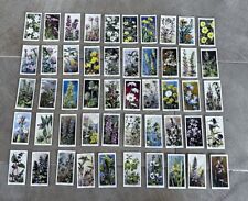 Wills Cigarette Cards Wild Flowers 2nd Series 1937 Complete Set Excellent Cond. picture