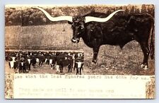 Postcard RPPC San Antonio Texas Centennial 1836-1936 Longhorn Cow Humor Card picture