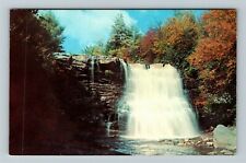 Oakland MD-Maryland Muddy Creek Falls Swallow Falls State Park Vintage Postcard picture