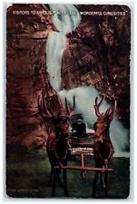 c1910s Rocky Mountain Elk World Famous Seven Falls Cheyenne WY Unposted Postcard picture