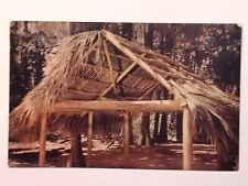 Seminole Indian Hut Silver Springs Florida  Postcard picture