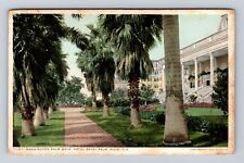 Miami FL-Florida, Hotel Royal Palm, Palm Lined Walkway, Antique Vintage Postcard picture