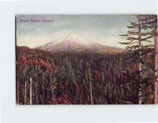 Postcard Mount Adams Oregon USA picture