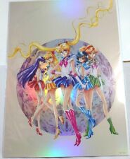 Pretty Guardian Sailor Moon Raisonne Launch Exhibition A3 Aurora Poster Type D picture