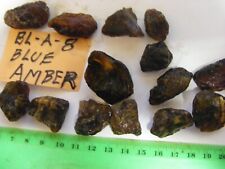 Mozambique Blue Amber ..14 assorted size chunks ,exact ones in photos...(BL-A-8) picture