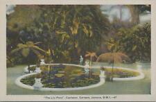 Postcard The Lily Pond Castleton Gardens  Jamaica BWI picture