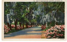 Vintage view of Bonaventure Cemetery Savannah Georgia GA Postcard Spanish moss picture