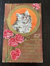 Cat / 1910 Postcard  picture