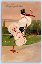 c1900s Stork Delivery Congratulations Birth Antique Anthropomorphic Art Postcard picture