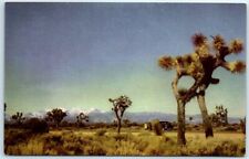Postcard - Joshua Trees in the Mojave Desert, California picture