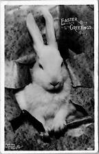 RPPC Easter White Rabbit Bromide Paper 1911 Rotograph photo postcard JP9 picture