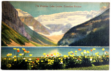 The Poppies, Lake Louise, Canadian Rockies, Canada Vintage Postcard Linen picture