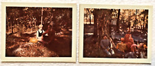 Vintage Polaroid Land Photo Lot Of 2 Halloween Photos Woods Jack O Lantern 1972 picture