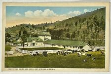 Homestead Dairy and Herd. Hot Springs, Virginia Postcard. VA picture