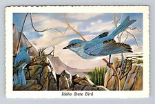 ID-Idaho, Idaho State Bird, Mountain Bluebird, Bird, Antique Vintage Postcard picture