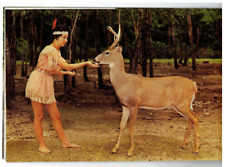 Vintage Wisconsin Dells Deer Park 1960's-1970's Souvenir Book 28 Color Pages picture