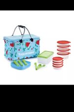 Tupperware Host Collection Summer Picnic Basket Set NEW 2024 picture