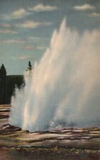 Postcard WY Yellowstone National Park Daisy Geyser 1939 Linen Vintage PC H8760 picture