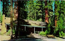 Vintage Postcard- Big Trees Lodge, Yosemite National Park, Californi 1960s picture