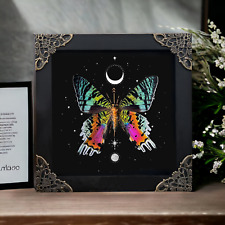 Real Sunset Moth in Astronomy Background Dried Insect Butterfly Gift for Her picture
