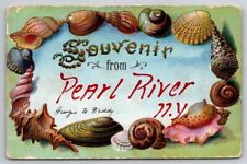 eStampsNet - Sea Shell Boarder Pearl River NY Embossed c1910 Postcard  picture