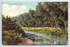 Postcard Canal Scene Roswell New Mexico picture