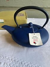 IWACHU NAMBU Blue Cast Iron MORIOKA  Tea Pot With Strainer Gorgeous Japan New picture