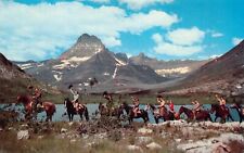 Swiftcurrent Lake MT Montana Horse Riding Trail Mt Wilbur Vtg Postcard C65 picture